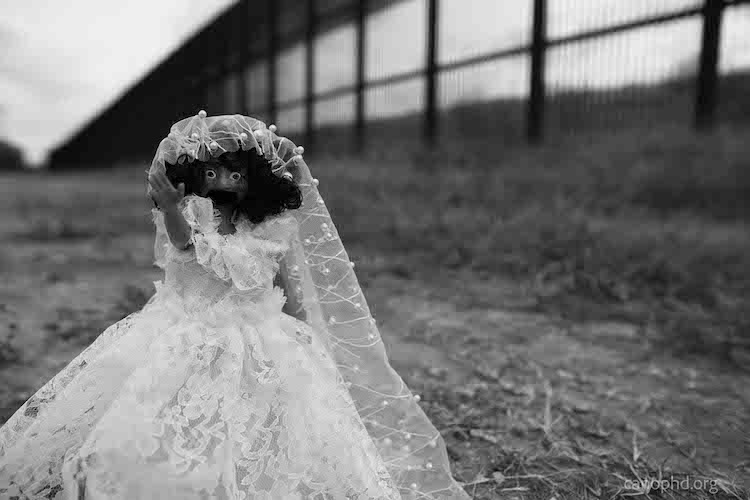 la llorona en frente de unas flores